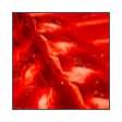 collage image title